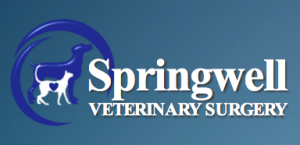We provide out of hours home care and euthanasia services for Springwell Vets